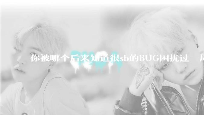 你被哪个后来知道很sb的BUG困扰过一周以上吗？