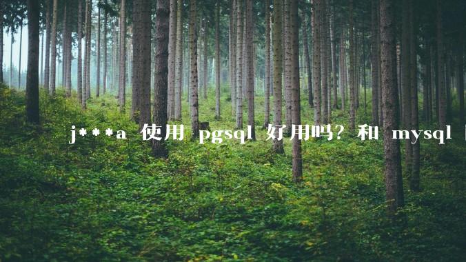 j***a 使用 pgsql 好用吗？和 mysql 区别大吗？
