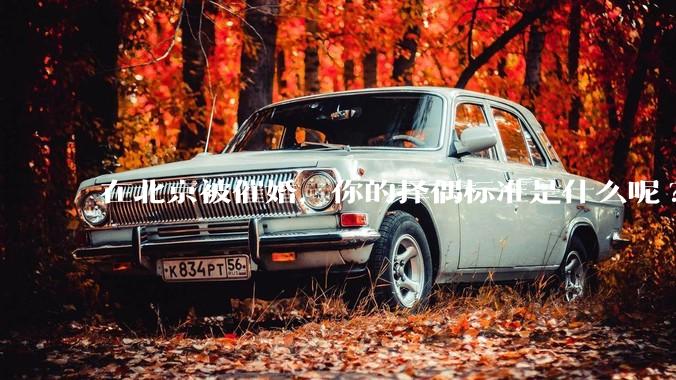 在北京被催婚，你的择偶标准是什么呢?
