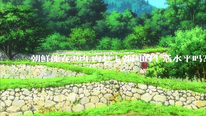 朝鲜能在20年内赶上韩国的生活水平吗？