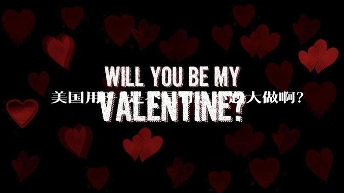 美国用B-2是不是有点小题大做啊？