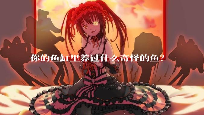 你的鱼缸里养过什么奇怪的鱼？
