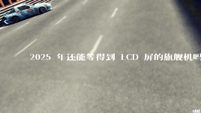 2025 年还能等得到 LCD 屏的旗舰机吗？