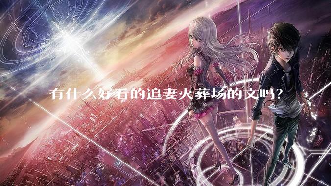 有什么好看的追妻火葬场的文吗？