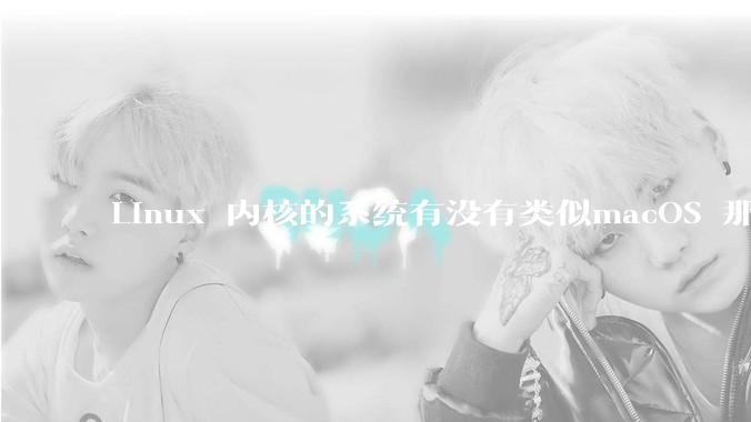 Linux 内核的系统有没有类似macOS 那样漂亮流畅的桌面环境的发行版本?