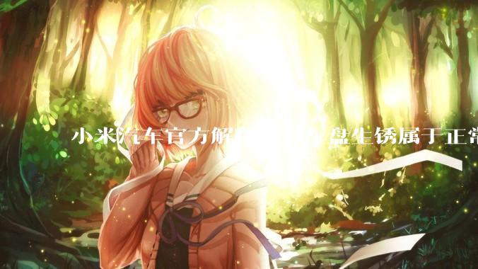 小米汽车官方解释了刹车盘生锈属于正常现象，并提供了两种除锈功能，这些措施是否足够有效？