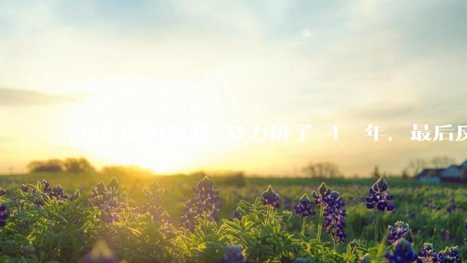 360 集团周鸿袆努力拼了 4  年，最后反而跌了近 4000 亿，其原因是什么？