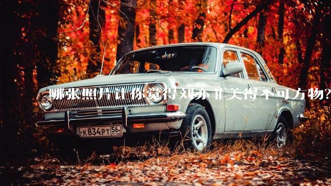 哪张照片让你觉得刘亦菲美得不可方物？