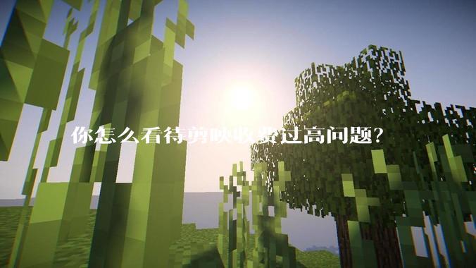 你怎么看待剪映收费过高问题？