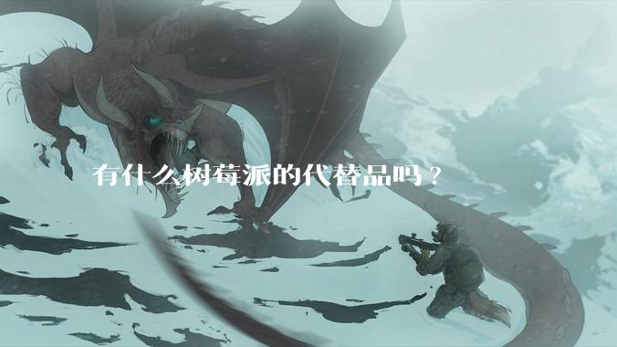 有什么树莓派的代替品吗?