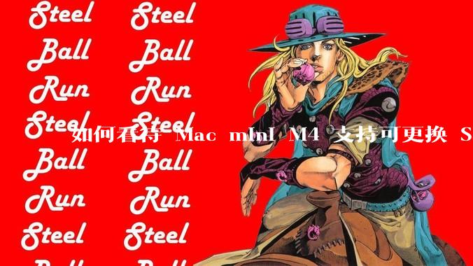 如何看待 Mac mini M4 支持可更换 SSD？