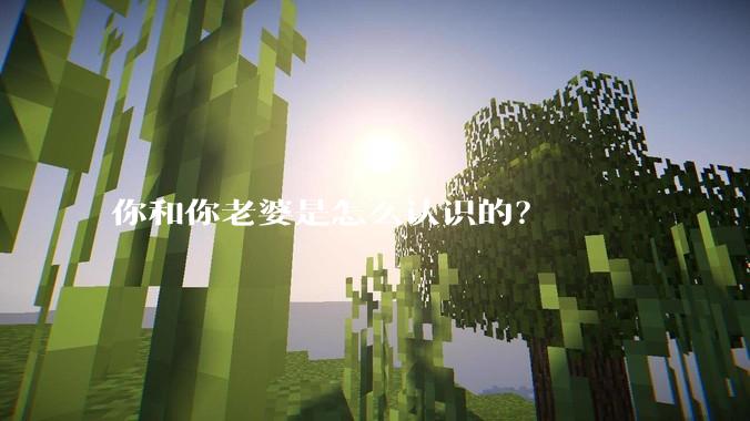 你和你老婆是怎么认识的？