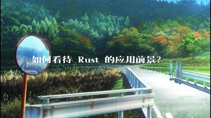如何看待 Rust 的应用前景？