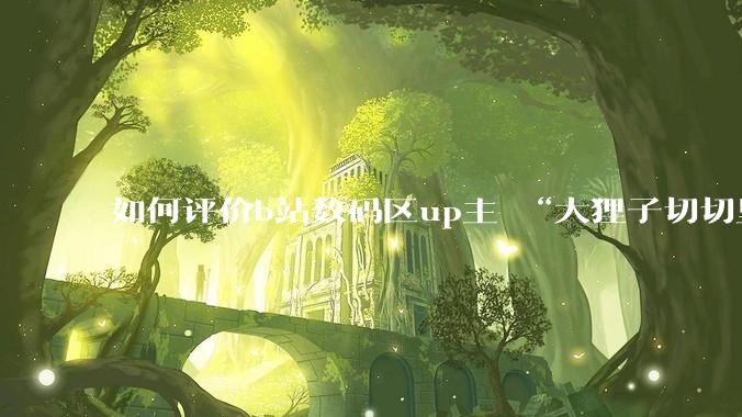 如何评价b站数码区up主 “大狸子切切里”?