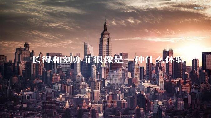 长得和刘亦菲很像是一种什么体验？